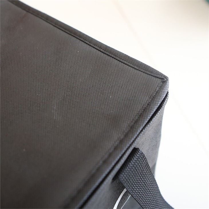 Non-Woven Cooler Bag